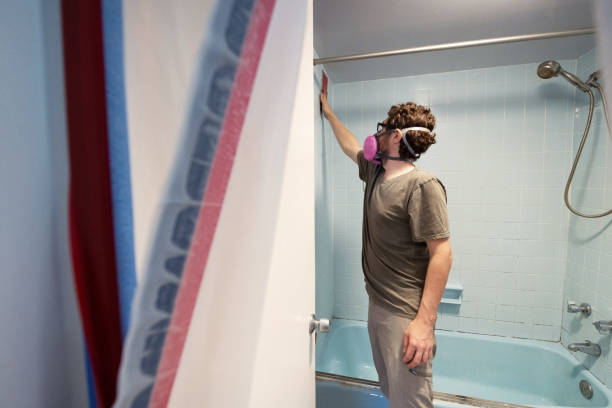 Professional Mold Removal in Livonia, MI