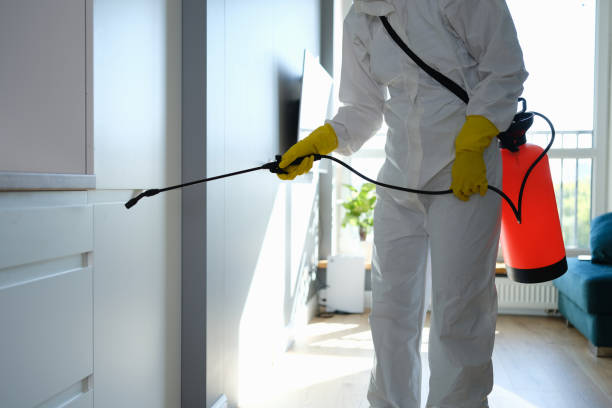Best Environmental Consulting for Mold Prevention  in Livonia, MI