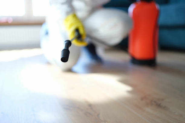 Best Mold Removal for HVAC Installations  in Livonia, MI