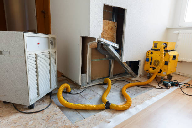 Best Asbestos and Lead Testing During Mold Inspection  in Livonia, MI