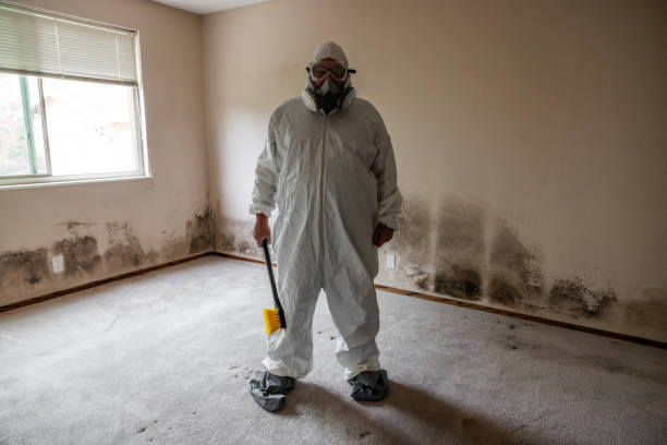 Best Post-Construction Mold Inspection  in Livonia, MI